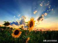 海口尚云悦网络科技有限公司