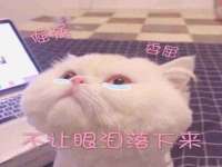 海口尚云悦网络科技有限公司