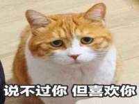 海口尚云悦网络科技有限公司
