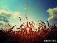 海口尚云悦网络科技有限公司