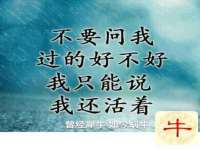 海口尚云悦网络科技有限公司