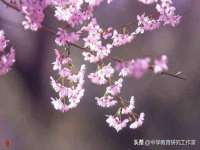 海口尚云悦网络科技有限公司
