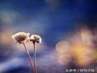 海口尚云悦网络科技有限公司