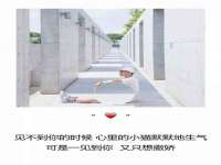 海口尚云悦网络科技有限公司