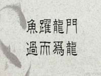 海口尚云悦网络科技有限公司