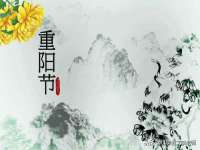 海口尚云悦网络科技有限公司