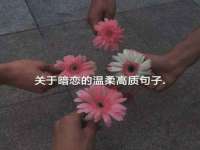 海口尚云悦网络科技有限公司