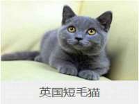 海口尚云悦网络科技有限公司