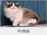 海口尚云悦网络科技有限公司