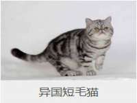 海口尚云悦网络科技有限公司