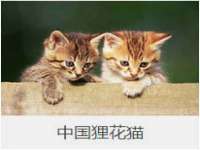 海口尚云悦网络科技有限公司