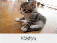 海口尚云悦网络科技有限公司