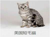 海口尚云悦网络科技有限公司