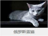 海口尚云悦网络科技有限公司