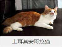 海口尚云悦网络科技有限公司