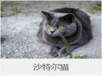 海口尚云悦网络科技有限公司