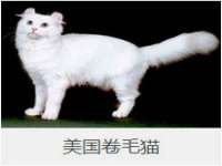 海口尚云悦网络科技有限公司