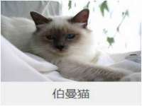 海口尚云悦网络科技有限公司