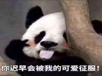 海口尚云悦网络科技有限公司