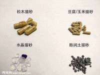 海口尚云悦网络科技有限公司