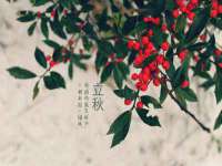 海口尚云悦网络科技有限公司