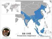 海口尚云悦网络科技有限公司