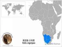 海口尚云悦网络科技有限公司