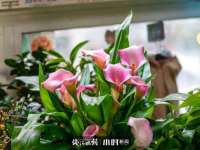 海口尚云悦网络科技有限公司