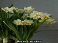 海口尚云悦网络科技有限公司