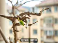 海口尚云悦网络科技有限公司