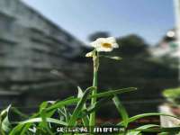海口尚云悦网络科技有限公司