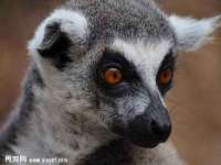 海口尚云悦网络科技有限公司