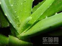 海口尚云悦网络科技有限公司
