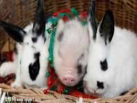 海口尚云悦网络科技有限公司