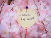 海口尚云悦网络科技有限公司