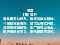 海口尚云悦网络科技有限公司