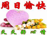 海口尚云悦网络科技有限公司