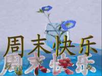海口尚云悦网络科技有限公司