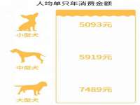 海口尚云悦网络科技有限公司