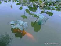 海口尚云悦网络科技有限公司