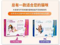 海口尚云悦网络科技有限公司