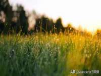 海口尚云悦网络科技有限公司