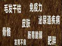 海口尚云悦网络科技有限公司