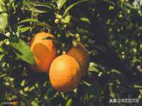 海口尚云悦网络科技有限公司