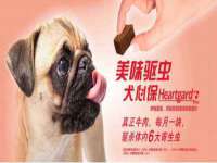 海口尚云悦网络科技有限公司