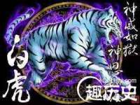 海口尚云悦网络科技有限公司