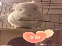海口尚云悦网络科技有限公司