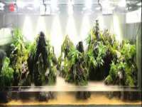 海口尚云悦网络科技有限公司
