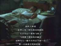 海口尚云悦网络科技有限公司