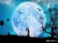 海口尚云悦网络科技有限公司